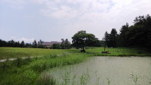 DSC_4895