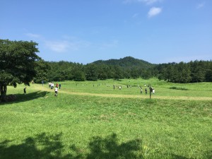 IMG_0010